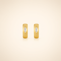 Moissanite Earrings – Gold Tone