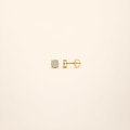 Moissanite Earrings – Gold Tone